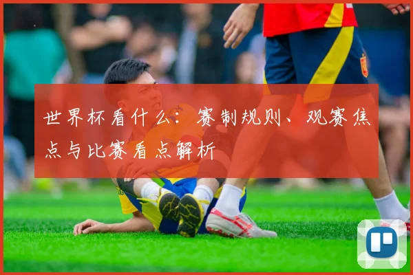 世界杯看什么:赛制规则、观赛焦点与比赛看点解析
