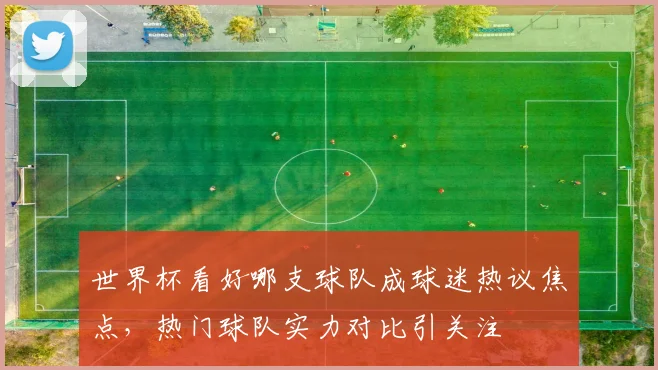世界杯看好哪支球队成球迷热议焦点,热门球队实力对比引关注