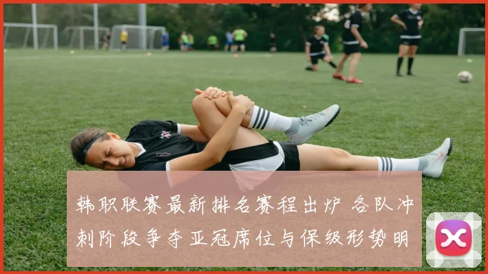 韩职联赛最新排名赛程出炉 各队冲刺阶段争夺亚冠席位与保级形势明朗