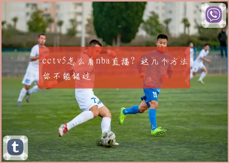 cctv5怎么看nba直播？这几个方法你不能错过