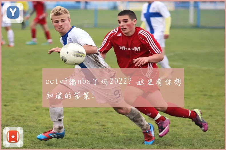 cctv5播nba了吗2022？这里有你想知道的答案！